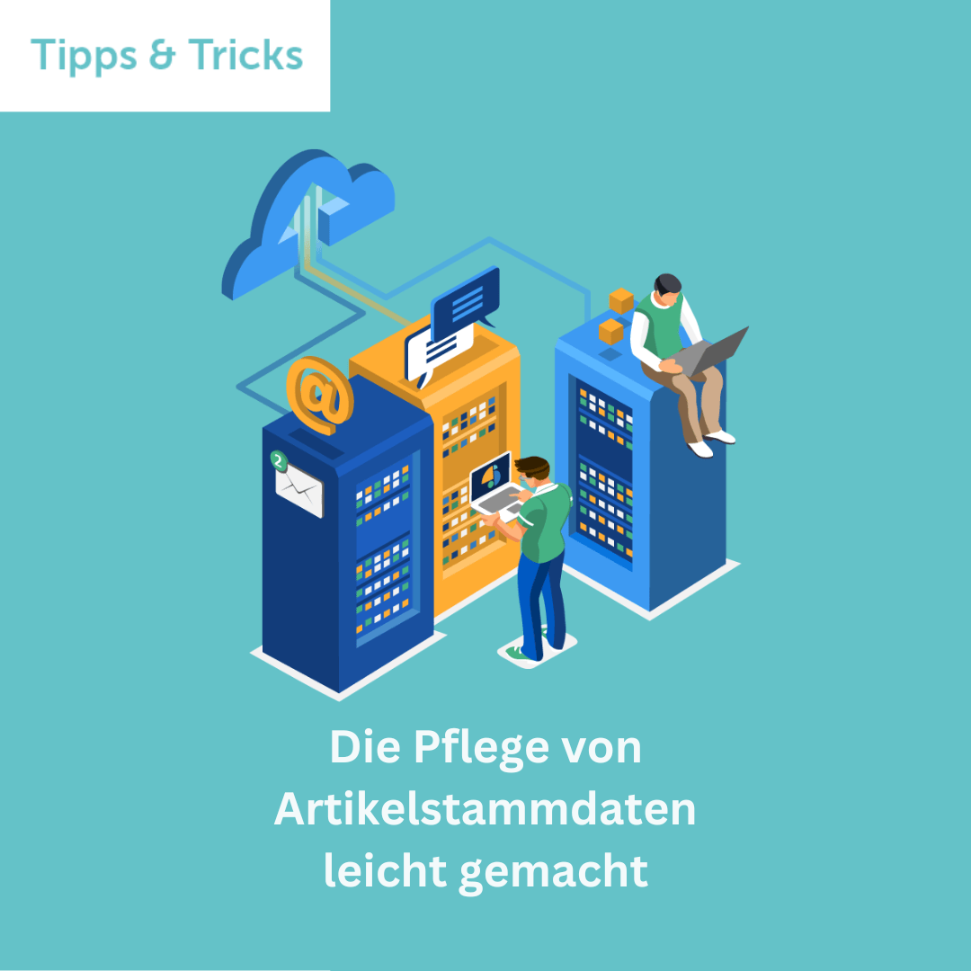 Tips & tricks: article master data maintenance made easy